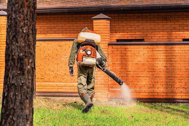 Bed Bug Clearance Verification and Documentation in Clovis